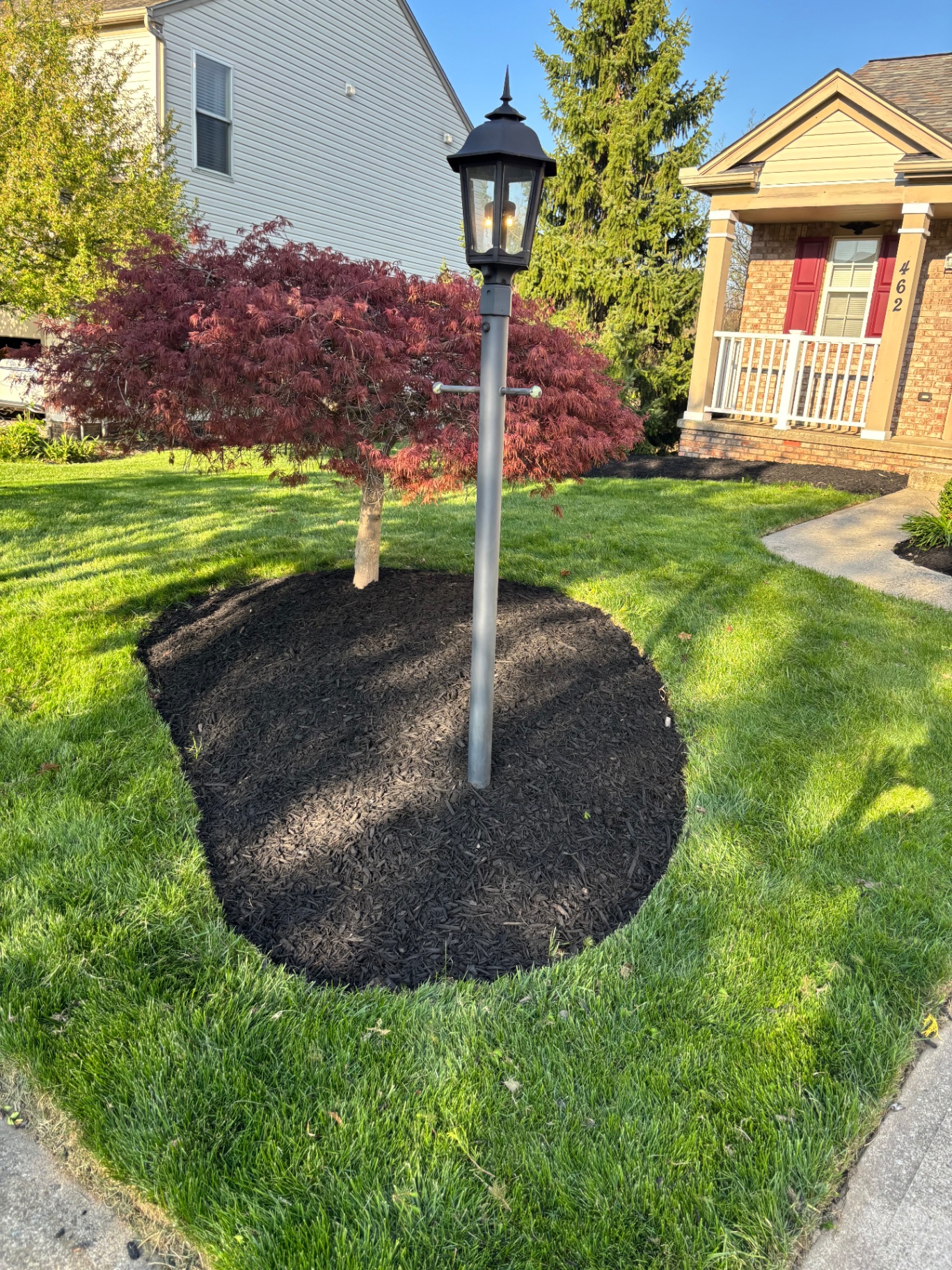 Mulched bed around a Japanese maple and lamp post