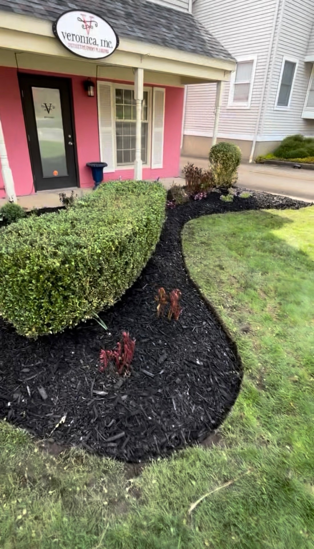 Curved mulch bed with shrubs in front of a storefront